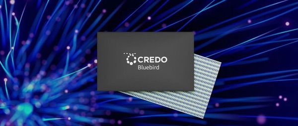 Credo发布专为AI网络打造的Bluebird 1.6T光DSP芯片